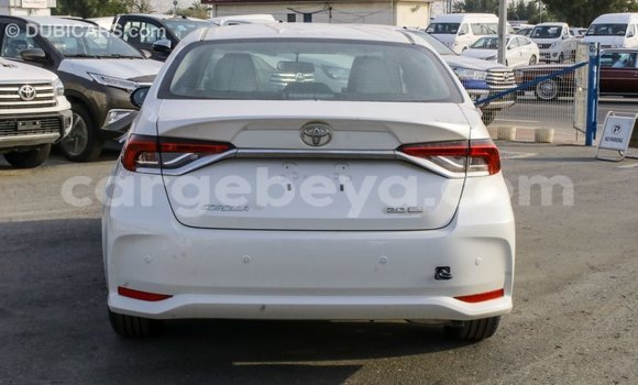 Buy Import Toyota Corolla White Car in Import - Dubai in Ethiopia Buy Import Toyota Corolla White Car in Import - Dubai in Ethiopia