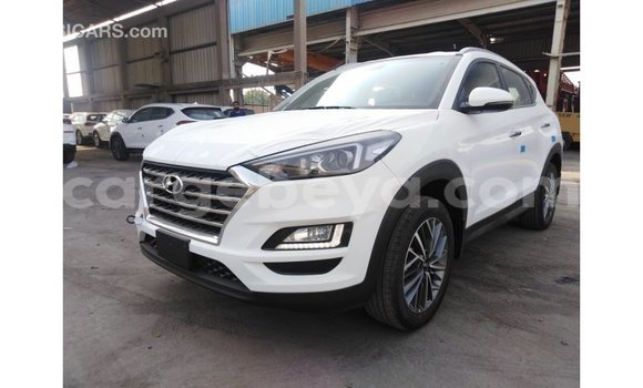 Buy Import Hyundai Tucson White Car in Import - Dubai in Ethiopia Buy Import Hyundai Tucson White Car in Import - Dubai in Ethiopia