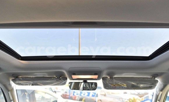 Haaraa Toyota Land Cruiser White Makiinaa iti Abiy Adi keessatti Tigray keessatti Haaraa Toyota Land Cruiser White Makiinaa iti Abiy Adi keessatti Tigray keessatti