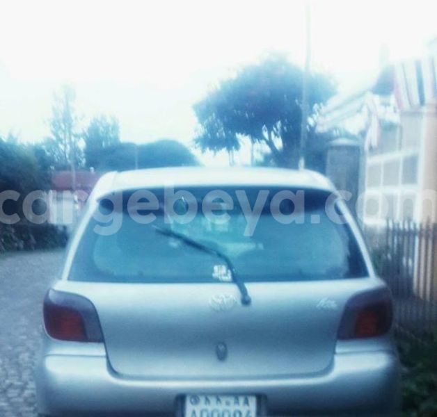 Big with watermark 18952779 709237862582138 3608237861038673941 n