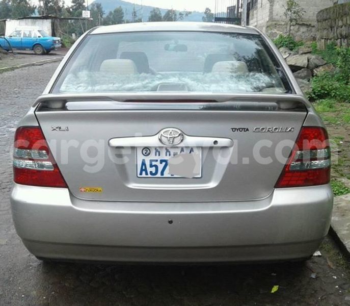 Big with watermark 18952779 709237862582138 3608237861038673941 n