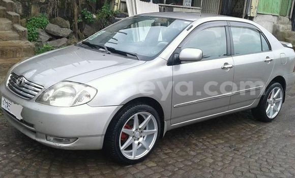 Buy Used Toyota Corolla Silver Car in Addis–Ababa in Ethiopia Buy Used Toyota Corolla Silver Car in Addis–Ababa in Ethiopia
