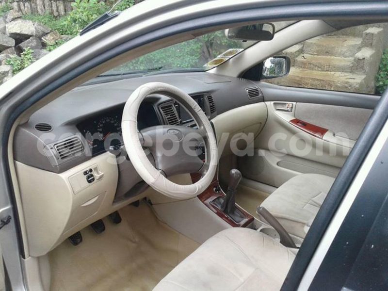 Big with watermark 19030339 709237869248804 8378660185752961642 n