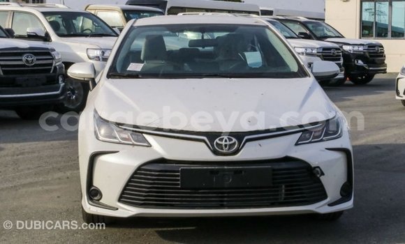 Buy Import Toyota Corolla White Car in Import - Dubai in Ethiopia Buy Import Toyota Corolla White Car in Import - Dubai in Ethiopia