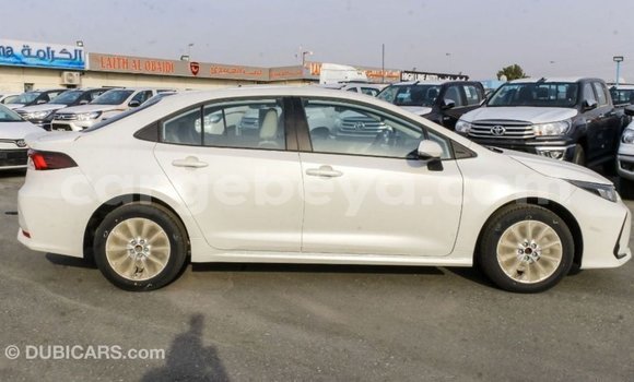 Buy Import Toyota Corolla White Car in Import - Dubai in Ethiopia Buy Import Toyota Corolla White Car in Import - Dubai in Ethiopia