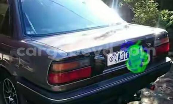 Acheter Occasion Voiture Toyota Corolla Autre à Addis Ababa, Ethiopie Acheter Occasion Voiture Toyota Corolla Autre à Addis Ababa, Ethiopie