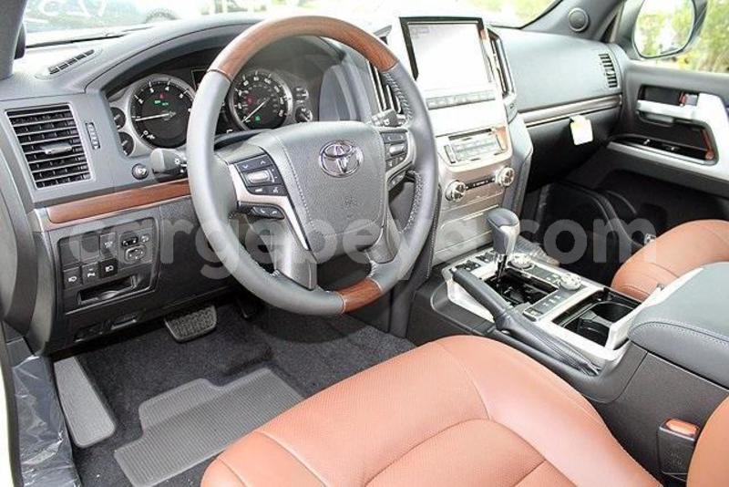 Big with watermark 9