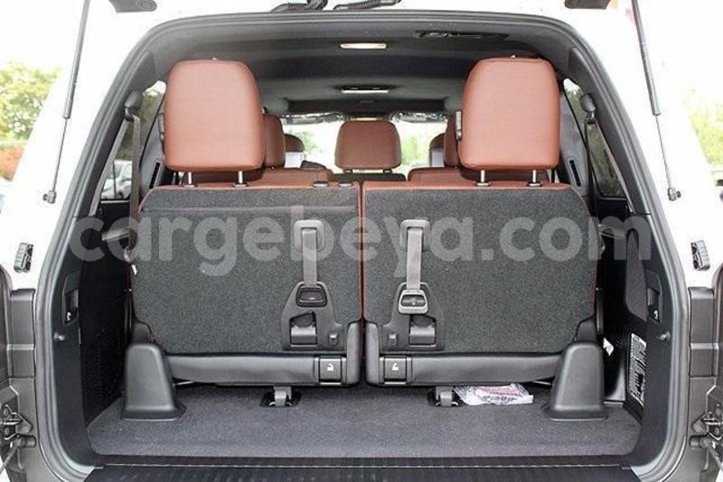 Big with watermark 14