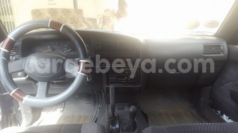 Big with watermark 13178928 10206406563623911 3766474135722935266 n