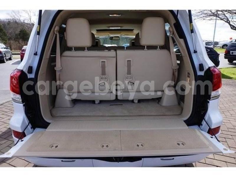 Big with watermark lx 24