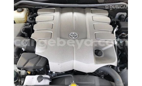 ይግዙ Imported Toyota Land Cruiser ነጭ መኪና በ Import - Dubai በ ኢትዮጵያ ይግዙ Imported Toyota Land Cruiser ነጭ መኪና በ Import - Dubai በ ኢትዮጵያ