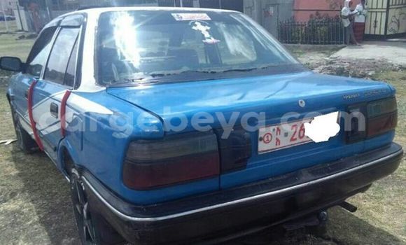 Buy Used Toyota Corolla Blue Car in Addis–Ababa in Ethiopia Buy Used Toyota Corolla Blue Car in Addis–Ababa in Ethiopia