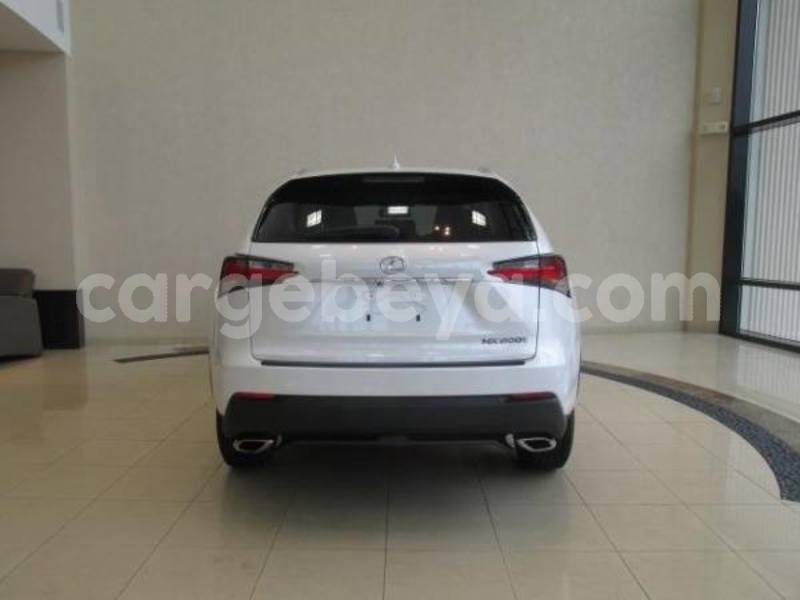 Big with watermark 18254199 10209367472929160 420387405 n