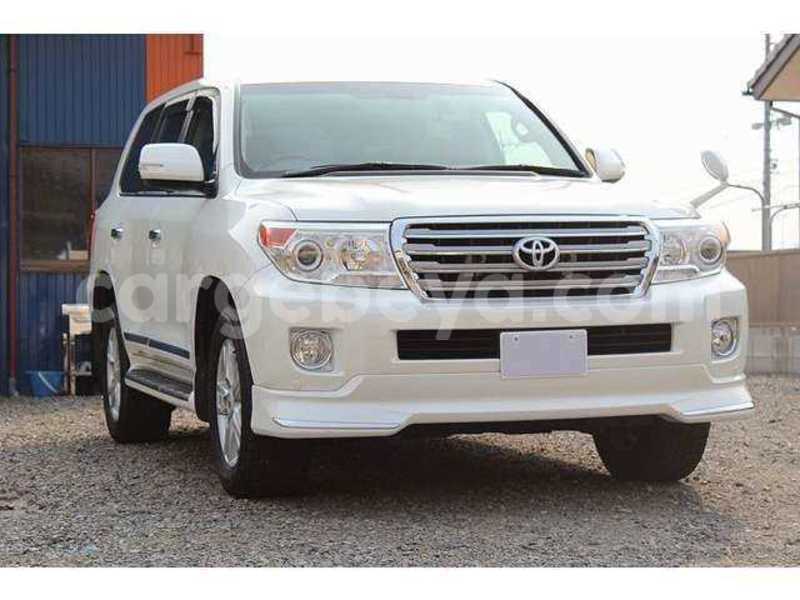 Big with watermark 05