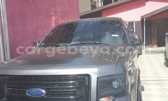 Buy Used Ford F-150 Other Car in Addis–Ababa in Ethiopia Buy Used Ford F-150 Other Car in Addis–Ababa in Ethiopia