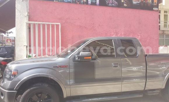 Buy Used Ford F–150 Other Car in Addis–Ababa in Ethiopia