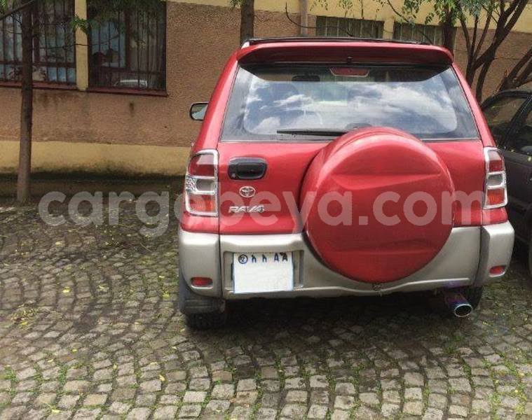 Big with watermark 18952779 709237862582138 3608237861038673941 n