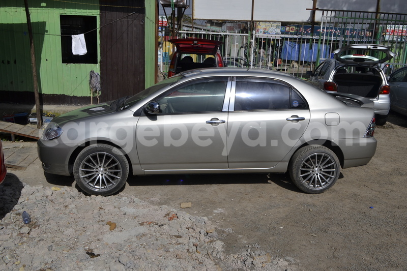 Big with watermark dsc5823