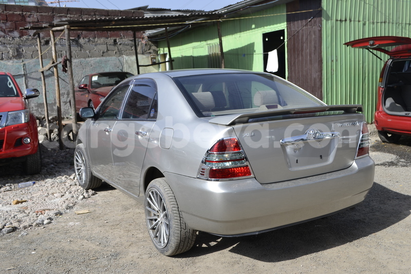 Big with watermark dsc5824