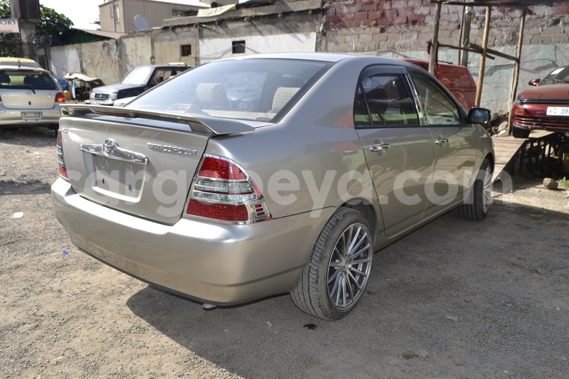 Big with watermark dsc5834