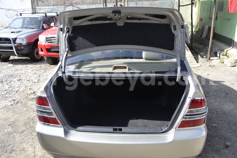 Big with watermark dsc5835