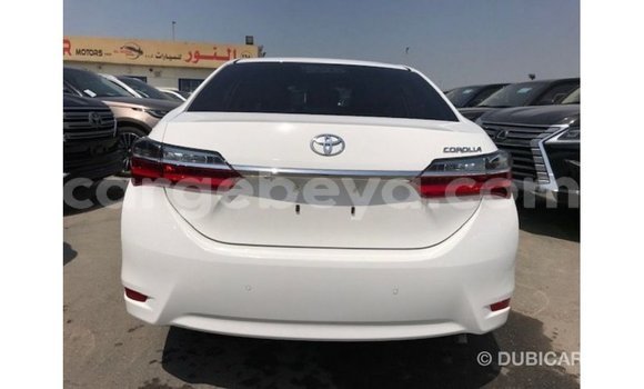ይግዙ Imported Toyota Corolla ነጭ መኪና በ Import - Dubai በ ኢትዮጵያ ይግዙ Imported Toyota Corolla ነጭ መኪና በ Import - Dubai በ ኢትዮጵያ