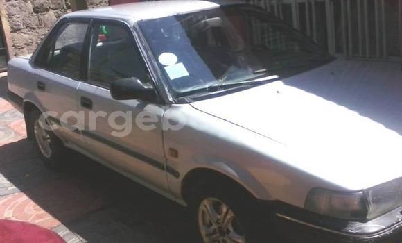 Buy Used Toyota Corolla Silver Car in Mekele in Ethiopia Buy Used Toyota Corolla Silver Car in Mekele in Ethiopia
