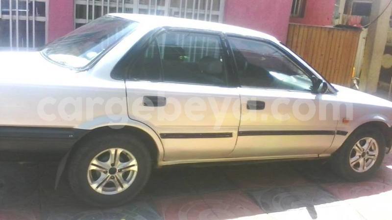 Big with watermark 25152125 1436706493124386 3988117729400250843 n