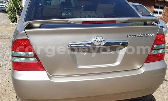 Buy Used Toyota Corolla Other Car in Mekele in Ethiopia Buy Used Toyota Corolla Other Car in Mekele in Ethiopia