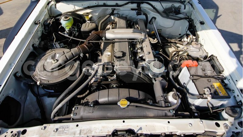 Big with watermark 14