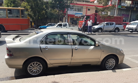 Buy Used Toyota Corolla Brown Car in Addis–Ababa in Ethiopia Buy Used Toyota Corolla Brown Car in Addis–Ababa in Ethiopia