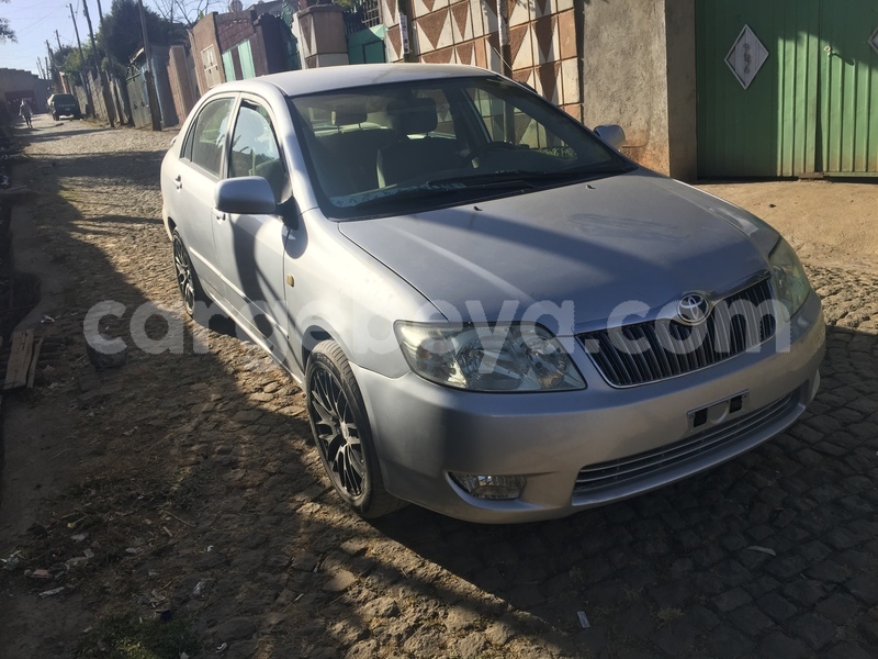 Big with watermark 7c0a9654 ab9b 4a66 8dae caa53c5fe8f6