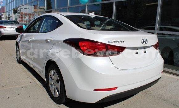 Buy Used Hyundai Elantra White Car in Āsbe–Teferī in Ethiopia Buy Used Hyundai Elantra White Car in Āsbe–Teferī in Ethiopia