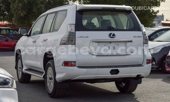 Buy Import Lexus GX White Car in Import - Dubai in Ethiopia Buy Import Lexus GX White Car in Import - Dubai in Ethiopia