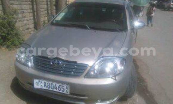 Buy Used Toyota Corolla Silver Car in Addis–Ababa in Ethiopia Buy Used Toyota Corolla Silver Car in Addis–Ababa in Ethiopia