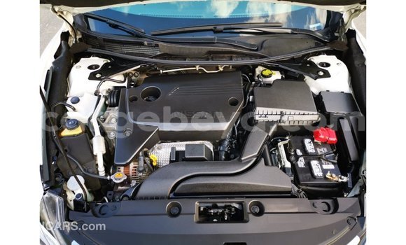 Buy Import Nissan Altima White Car in Import - Dubai in Ethiopia Buy Import Nissan Altima White Car in Import - Dubai in Ethiopia