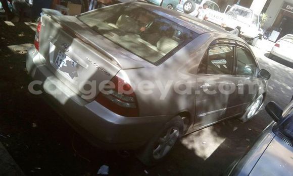 Acheter Occasion Voiture Toyota Corolla Gris à Addis Ababa, Ethiopie Acheter Occasion Voiture Toyota Corolla Gris à Addis Ababa, Ethiopie