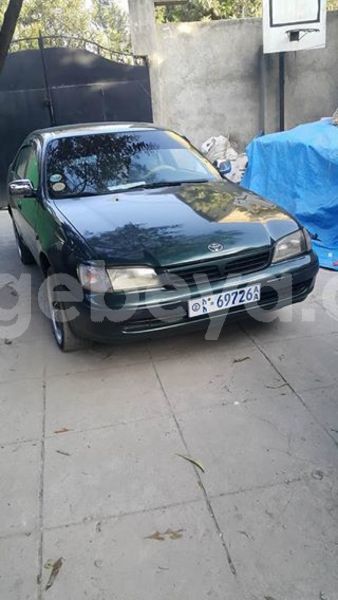 Big with watermark 27541137 2069783296635073 1096061414156810720 n