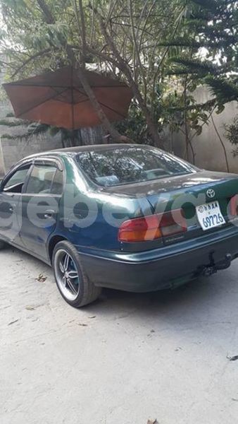 Big with watermark 27336551 2069783309968405 3763843409889180773 n