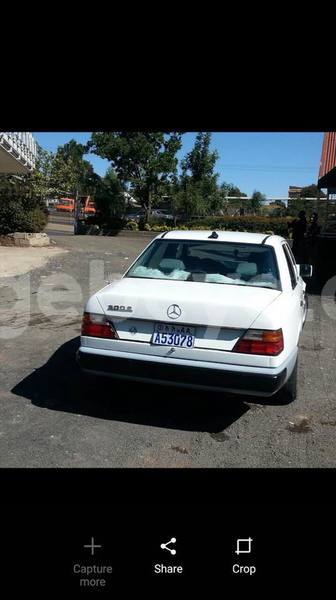 Big with watermark 27858782 10212975330390607 7893180654335829222 n