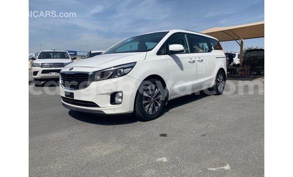 Buy Import Kia Carnival White Car in Import - Dubai in Ethiopia Buy Import Kia Carnival White Car in Import - Dubai in Ethiopia