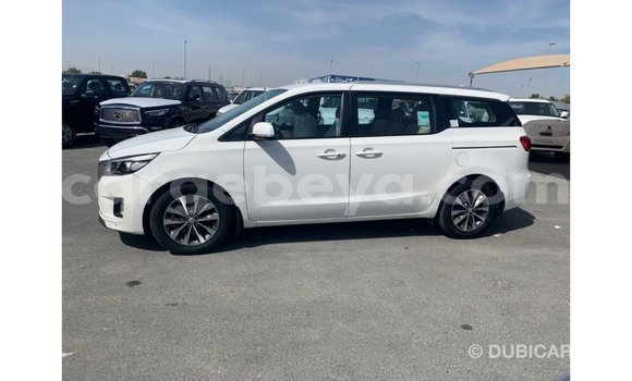 Buy Import Kia Carnival White Car in Import - Dubai in Ethiopia Buy Import Kia Carnival White Car in Import - Dubai in Ethiopia