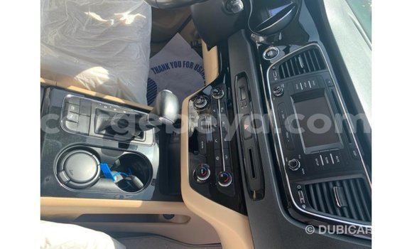 Buy Import Kia Carnival White Car in Import - Dubai in Ethiopia Buy Import Kia Carnival White Car in Import - Dubai in Ethiopia