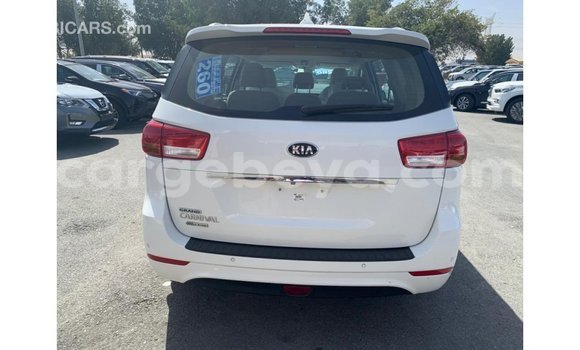 Buy Import Kia Carnival White Car in Import - Dubai in Ethiopia Buy Import Kia Carnival White Car in Import - Dubai in Ethiopia