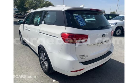 Buy Import Kia Carnival White Car in Import - Dubai in Ethiopia Buy Import Kia Carnival White Car in Import - Dubai in Ethiopia