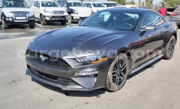 Buy Import Ford Mustang Other Car in Import - Dubai in Ethiopia Buy Import Ford Mustang Other Car in Import - Dubai in Ethiopia