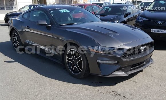 Buy Import Ford Mustang Other Car in Import - Dubai in Ethiopia Buy Import Ford Mustang Other Car in Import - Dubai in Ethiopia