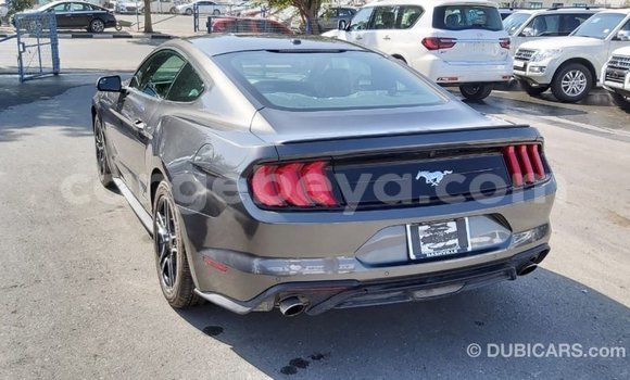 Buy Import Ford Mustang Other Car in Import - Dubai in Ethiopia Buy Import Ford Mustang Other Car in Import - Dubai in Ethiopia