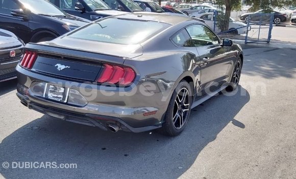 Buy Import Ford Mustang Other Car in Import - Dubai in Ethiopia Buy Import Ford Mustang Other Car in Import - Dubai in Ethiopia