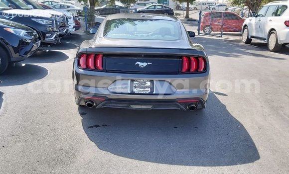 Buy Import Ford Mustang Other Car in Import - Dubai in Ethiopia Buy Import Ford Mustang Other Car in Import - Dubai in Ethiopia